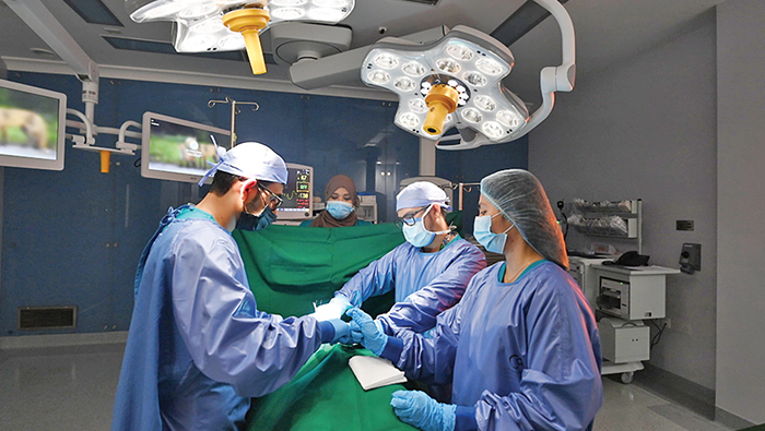 Oman's Healthcare Revolution: Bridging Gaps in Accessibility and Modernization