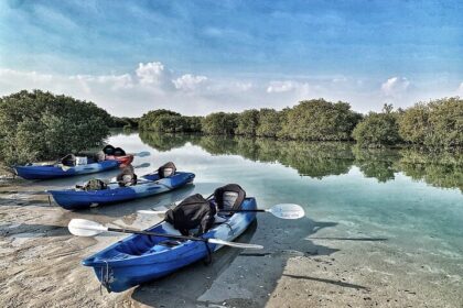 Qatar, a land of modern marvels and traditional charm, has increasingly become a hub for adventure enthusiasts.