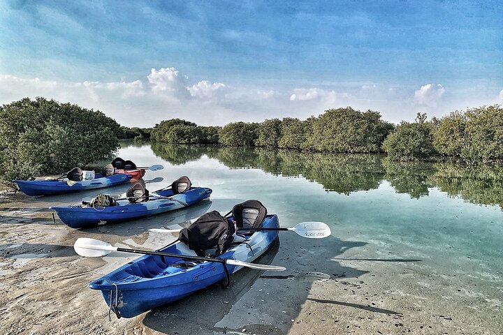 Qatar, a land of modern marvels and traditional charm, has increasingly become a hub for adventure enthusiasts.