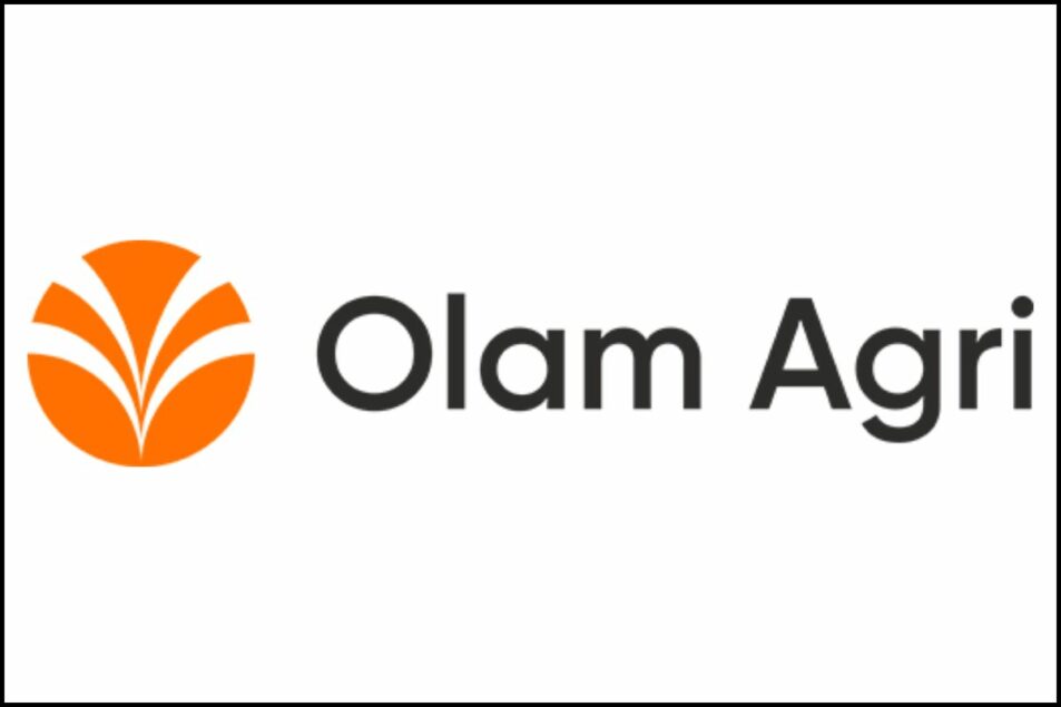 Olam
