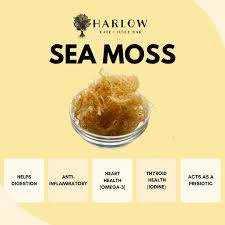 Sea Moss