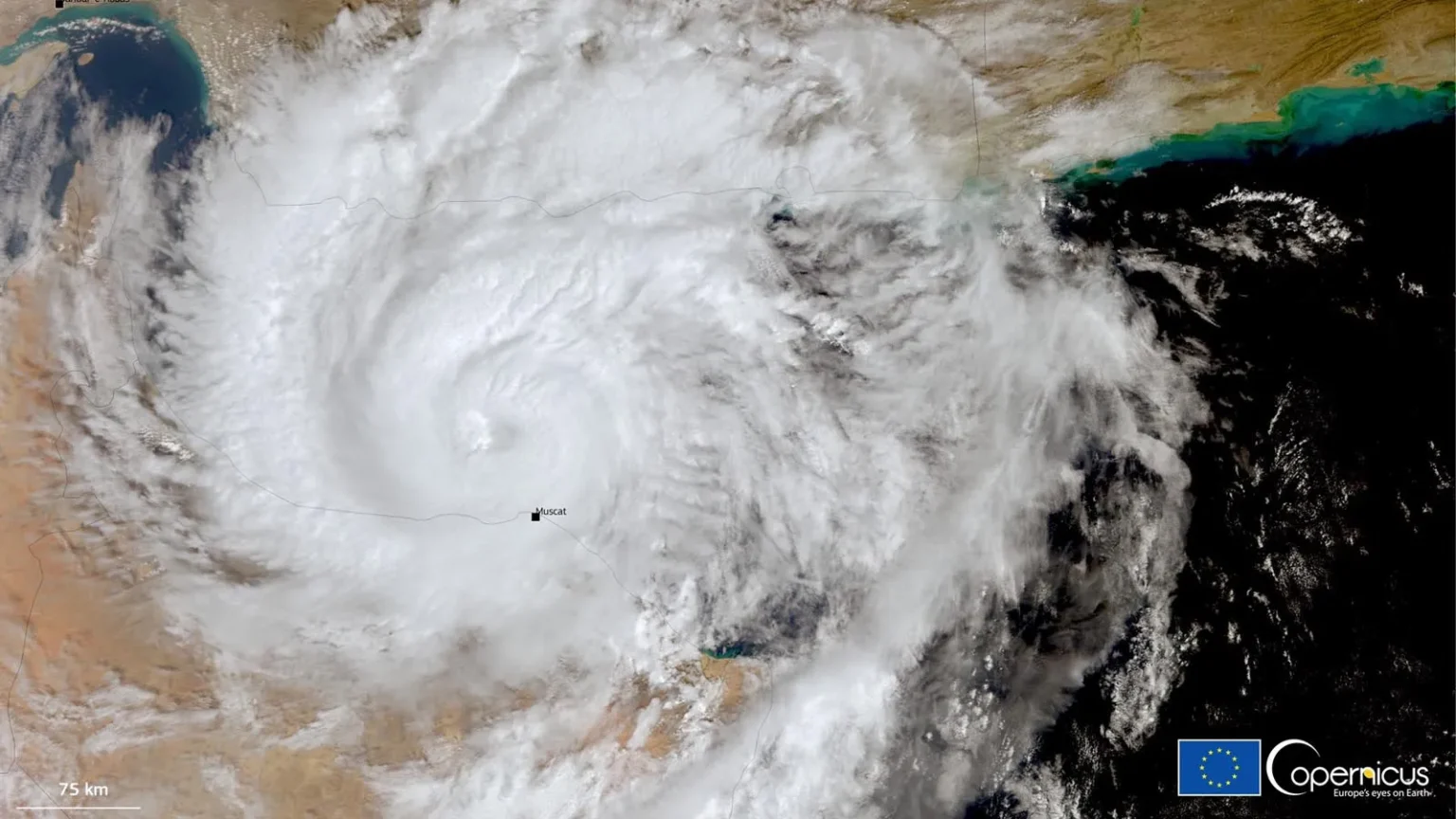 Cyclone