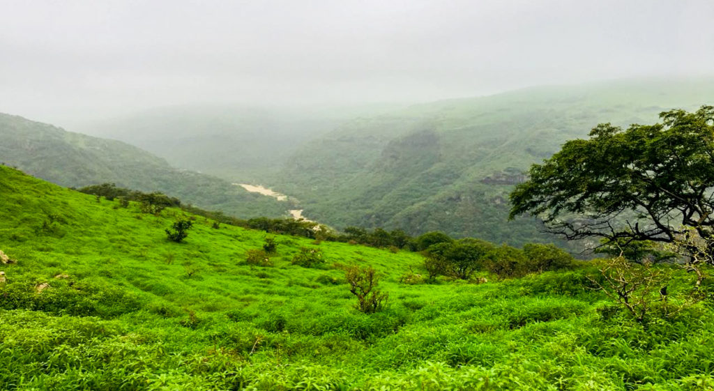 Khareef
