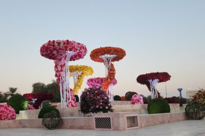 Muscat Flower Festival