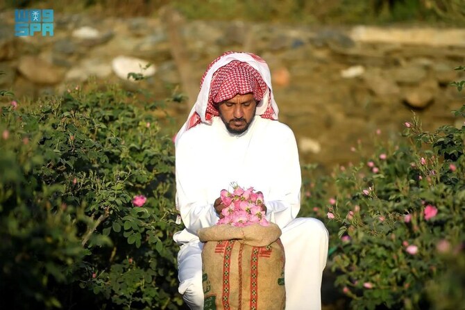 Al-Wadi and Al-Jabal