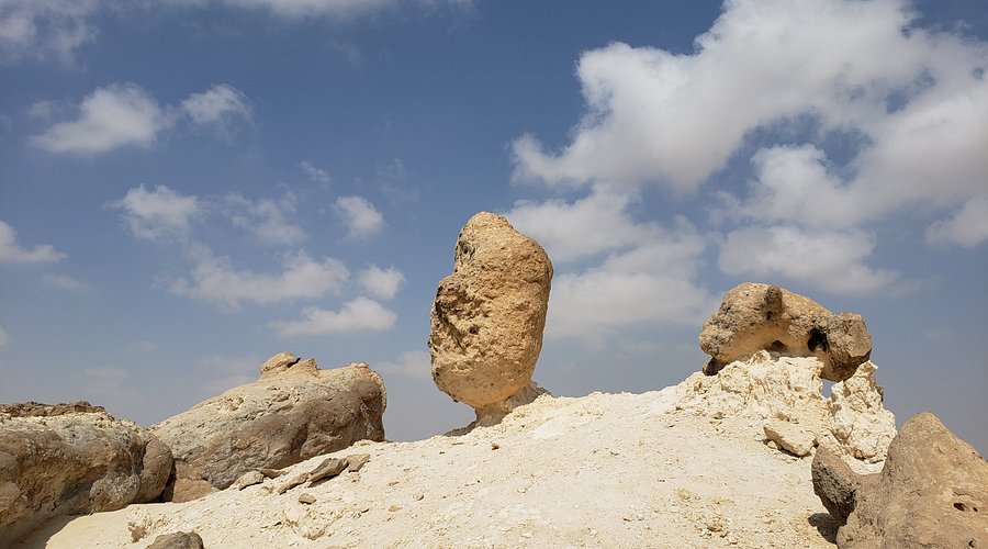 Rock Garden