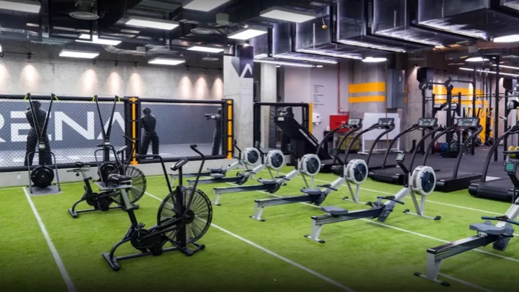 Arena Fitness Innovation 