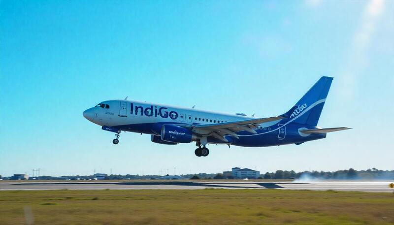IndiGo