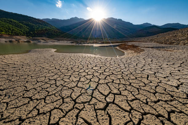 Environmental