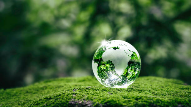 Zero-Waste