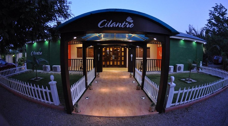 Cilantro Lounge