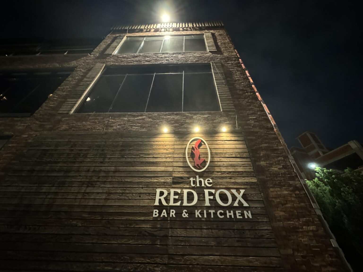 The Red Fox