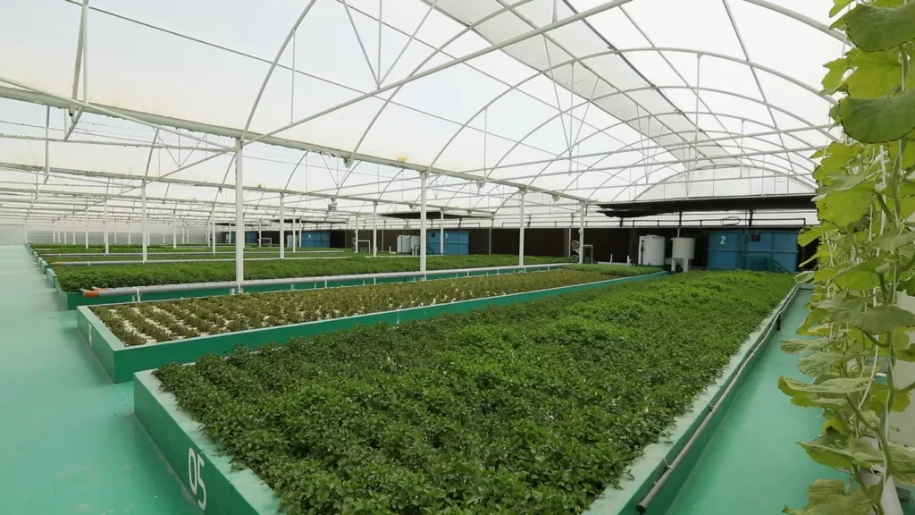 Smart Farming