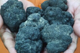 Secure Critical Minerals