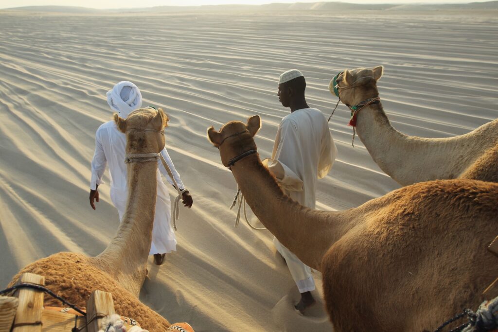 Desert