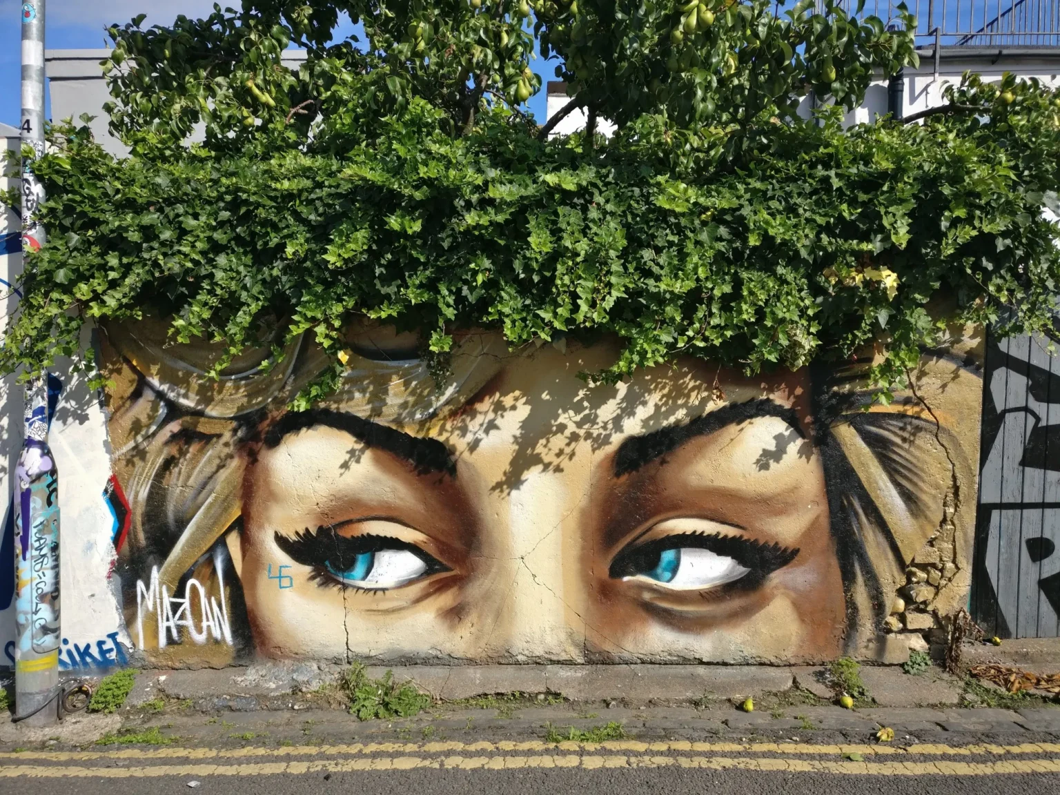 Street Art and Graffiti