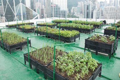 urban farming