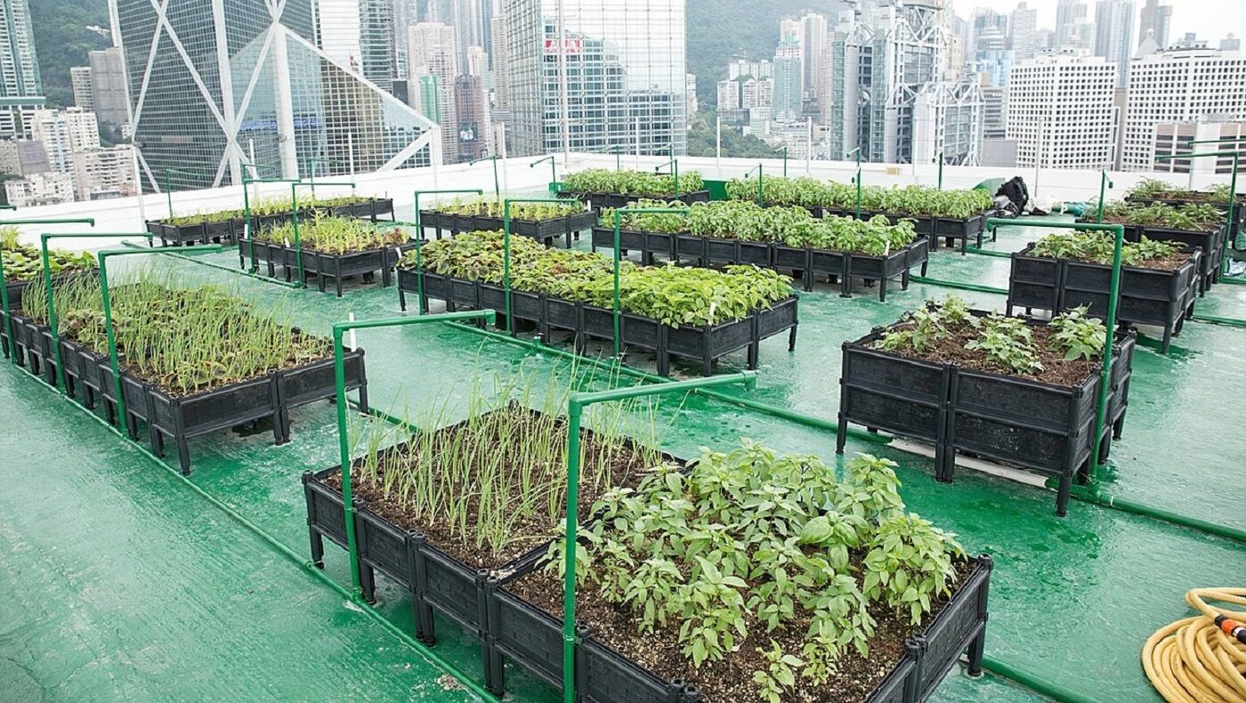 urban farming