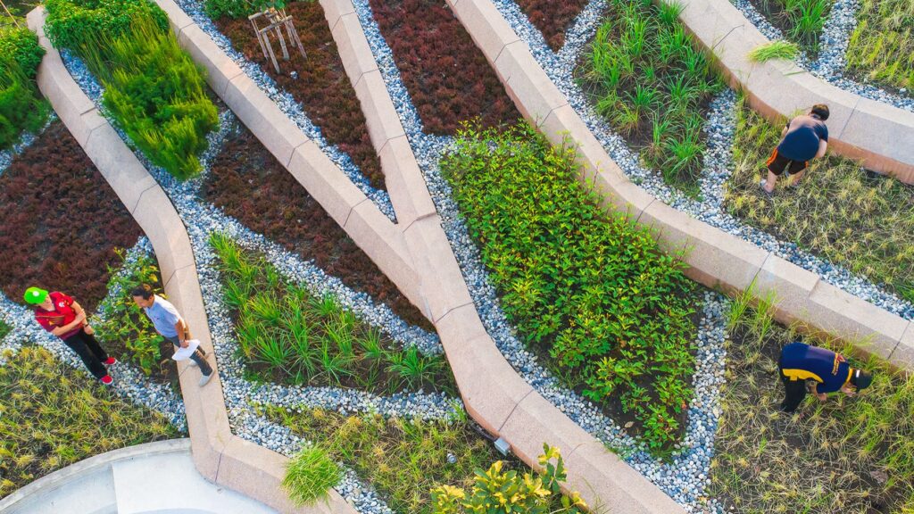 urban farming