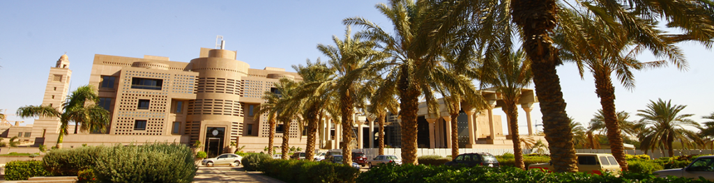 King Abdulaziz University 