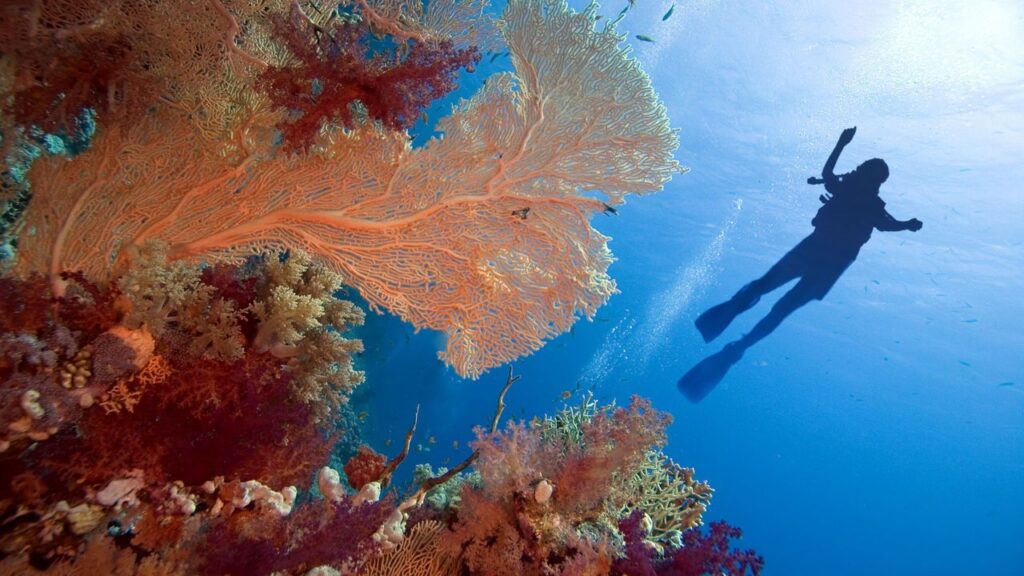 deep-sea
