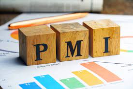 S&P PMI Index UAE