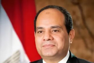 نداء من مصري مغترب للرئيس السيسي لتسهيل إصدار الجوازات في الخليج