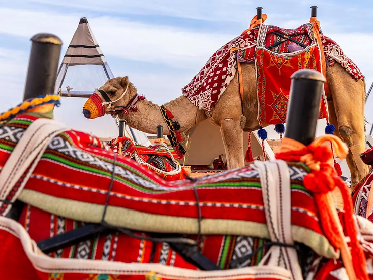 King Abdulaziz Camel Festival