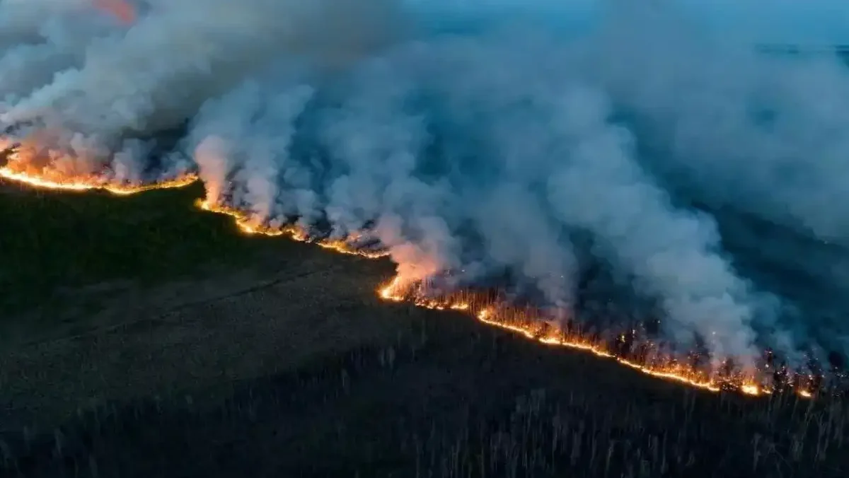 wildfire