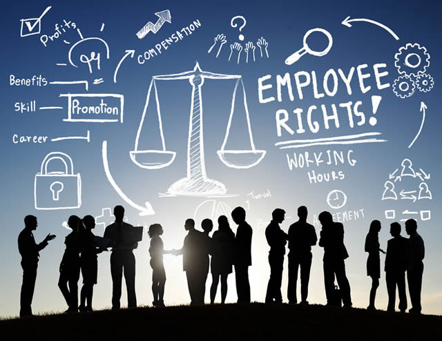 labor law