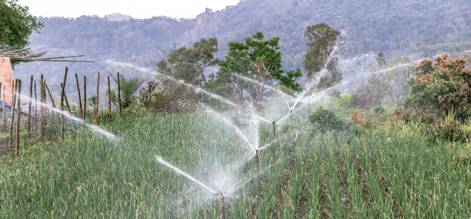 AI Irrigation