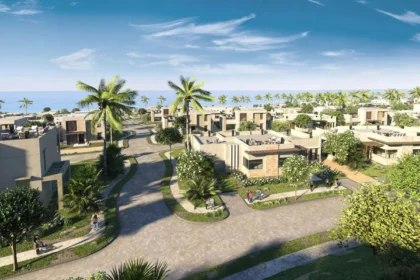 Property Opportunities