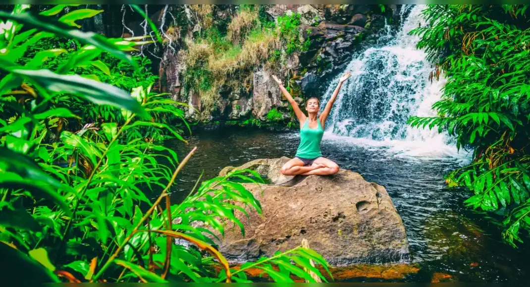 Wellness