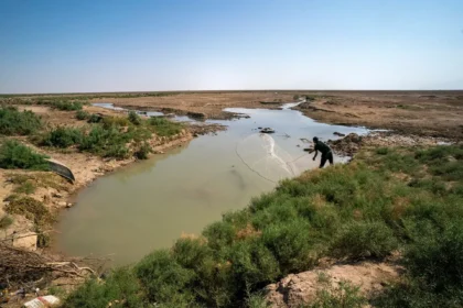 Iraq water salinity crisis