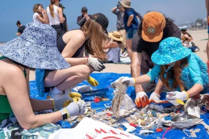 plastic-free cities