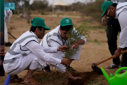 Saudi Green Initiative