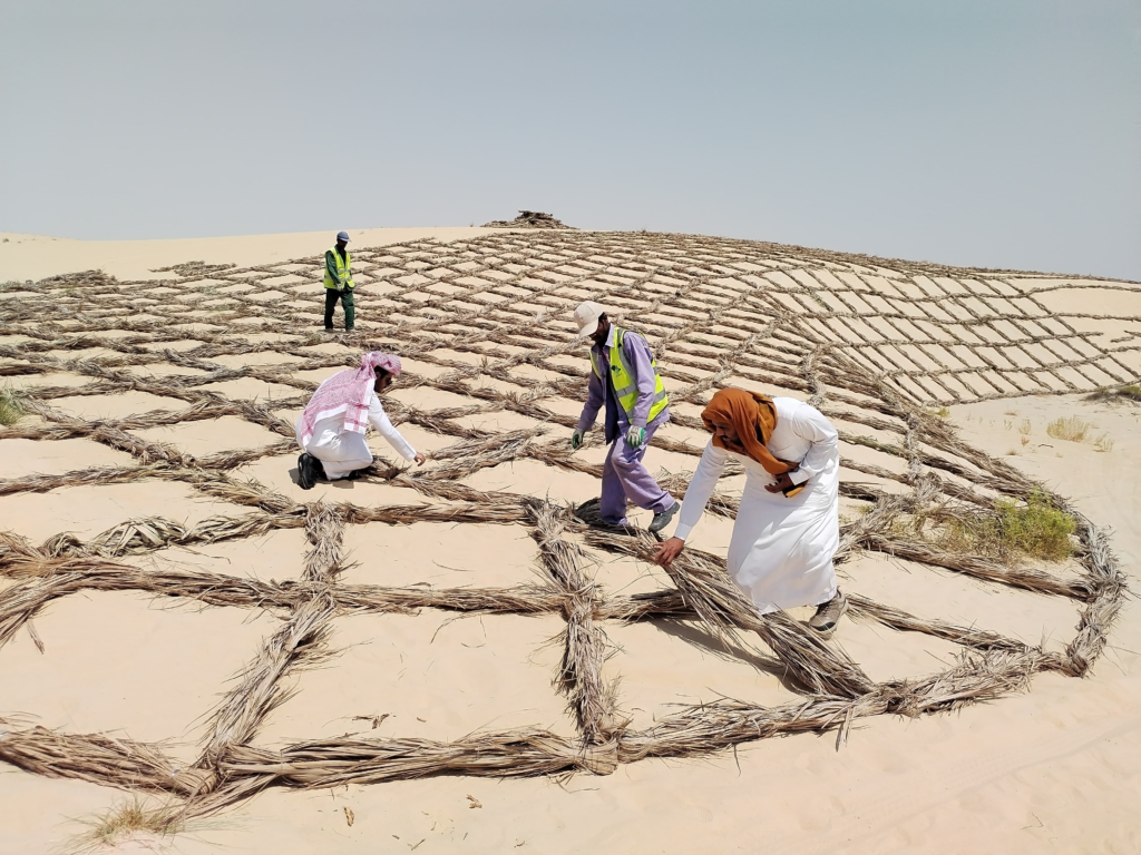 Desertification Control Policies