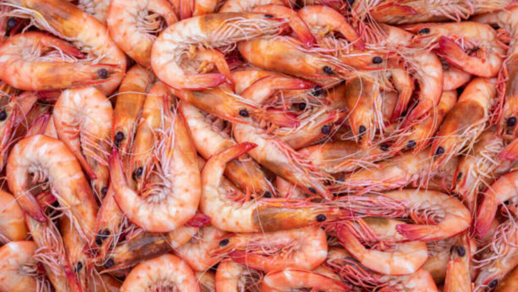 Shrimp Fraud