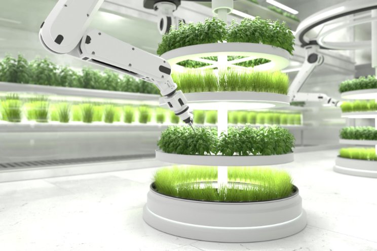 Dubai vertical farming