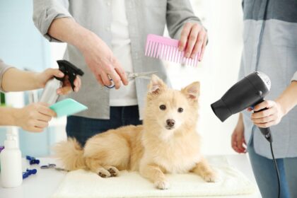 Pet Grooming