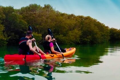 Mangroves Kayaking